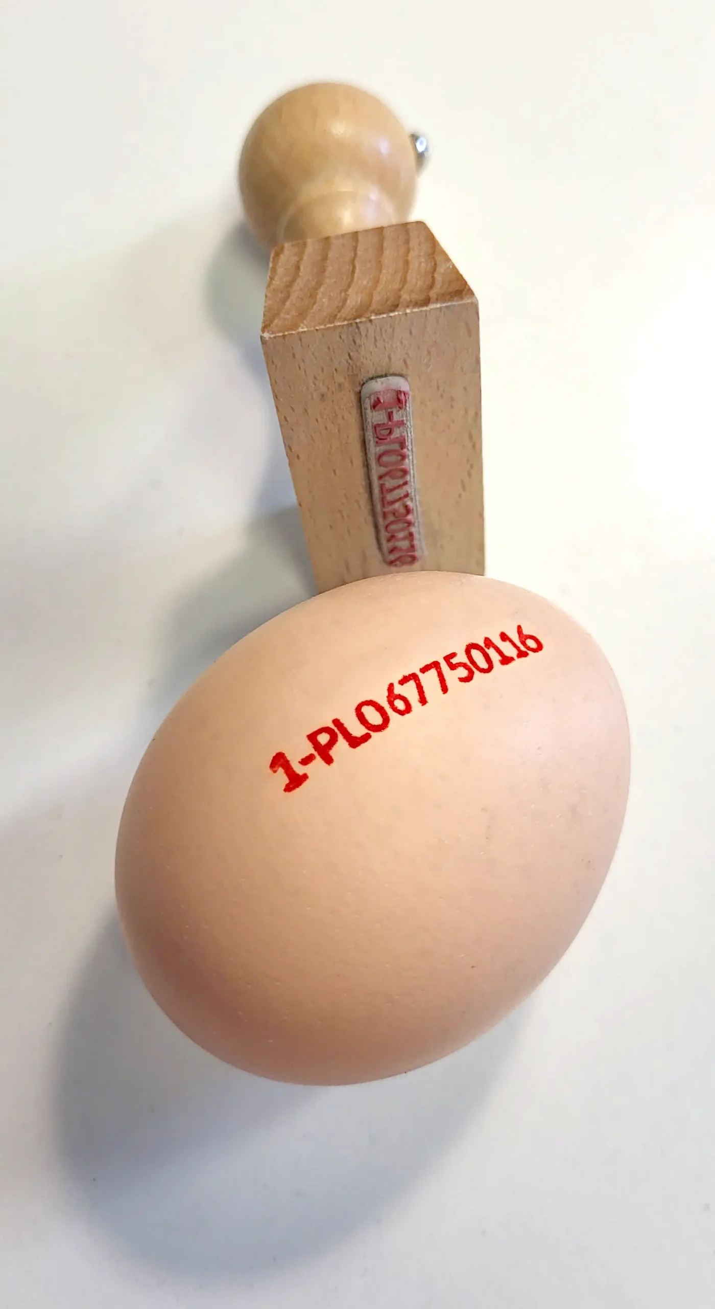 Pieczątki do znakowania jaj - Pieczątki Firmowe